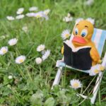 Rubber ducky reading a book sitting on a beach chair - Julie Bourbeau Blogs about favourite books